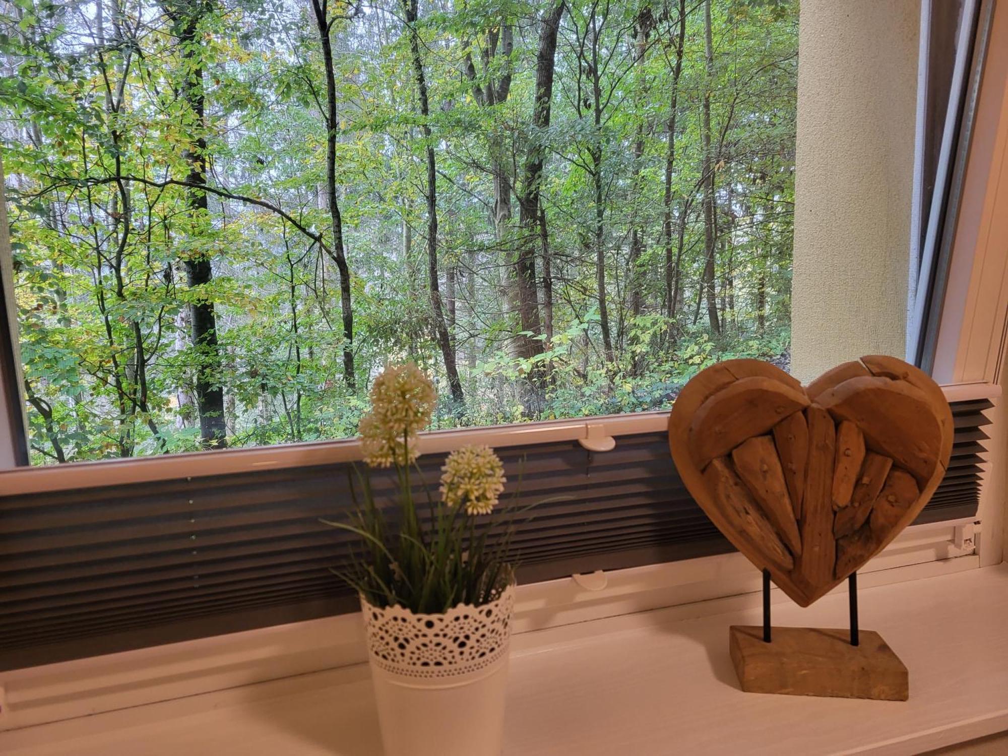 Modernisierte Ferienwohnung Naturseelen Mit Schwimmbad Und Sauna Браунлаге Екстериор снимка